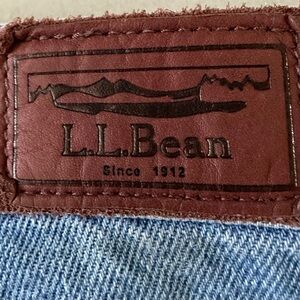 👖L L Bean Standard Fit Blue Jean